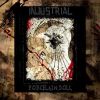 Download track Porcelain Doll (Vaceslav Version)
