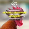 Download track La Garconniere