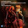Download track Dvořák: String Quartet No. 13 In G Major, Op. 106, B. 192: IV. Finale. Andante Sostenuto - Allegro Con Fuoco