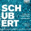 Download track Symphony No. 2 In B-Flat Major, D. 125 I. Largo - Allegro Vivace