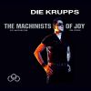 Download track Im Schatten Der Ringe
