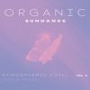 Download track Underlying Intention