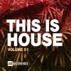 Download track Funky Vibes Vol 3 (Original Mix)