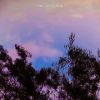 Download track The Myth Of Absolute Love