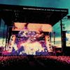 Download track Proudest Monkey