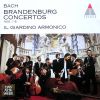 Download track Concerto No. IV In G Major - I. Allegro