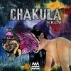 Download track Mysterious Stranger