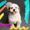 Download track Background For Restless Puppies