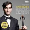 Download track 09. Concerto For Viola And Cello In G Major, VB 153a III. Rondo. Allegro Moderato