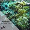 Download track River Drive