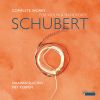 Download track Violin Sonata In A Minor, D. 385: I. Allegro Moderato