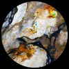 Download track Set