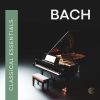 Download track J. S. Bach: Cello Suite No. 1 In G Major, BWV 1007: III. Courante (Arr. For Guitar)