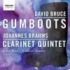 Download track 7. Johannes Brahms: Clarinet Quintet In B Minor Op. 115 - I. Allegro