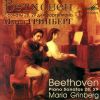 Download track Piano Sonata No. 29 In B Flat Major Op. 106 