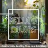 Download track Solace In Rainfall Sounds