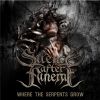 Download track Silence After Funeral