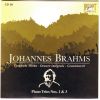 Download track Piano Trio No1 In B Major Op. 8, II. Scherzo, Allegro Molto