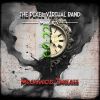 Download track The Madness Of Bugger Robots