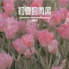 Download track 跳操一起瘦身