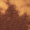 Download track Temperate