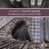 Download track 11. Piano Sonata No. 17 In D Major, D. 850 IV. Rondo. Allegro Moderato
