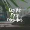 Download track Calm Dreaming Moments, Pt. 3