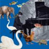 Download track Hémiones & Tortues