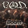 Download track BooM