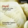 Download track 12. Gloria En Re Majeur RV 589 - XII. Allegro: Cum Sancto Spiritu