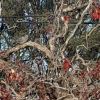 Download track Autumn Colors