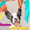 Download track Background For Restless Puppies