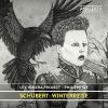 Download track Winterreise, D. 911 (Arr. For Voice And Chamber Ensemble): VI. Wasserflut