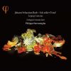 Download track (Aria: Alto): V. Doch Jesus Will Auch Bei Der Strafe