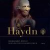 Download track Symphony No. 104 In D Major Hob. I: 104 - I. Adagio - Allegro