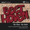 Download track Opferlied (After Beethoven's WoO 126)