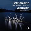 Download track Nach Dir, Herr, Verlanget Mich, BWV 150 - 1. Sinfonia