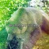 Download track Drifted Into Dreams