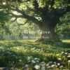 Download track Lavender Sky