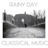 Download track Introduction Et Rondo Capriccioso, Op. 28