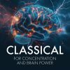 Download track Symphony No. 94 In G Major, Hob. I: 94 