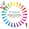 Download track Caprices, Op. 1: Caprice No. 24 In A Minor: Tema Quasi Presto - Variazioni - Finale