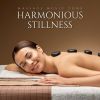 Download track Peaceful Rest