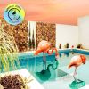 Download track Disco Feeling