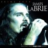 Download track A Simple Man