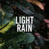 Download track Summer Rain Drops