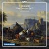 Download track 10. Concerto For 2 Flutes Bassoon Strings B. C. In A Major TWV 53: A1 - Allegro