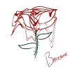 Download track Red Rose