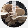 Download track The Normal Heart (Original Mix)