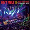 Download track Mr. Man (Live)